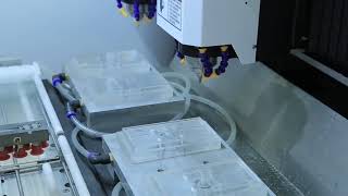 ND Group AT2 auto feeding system glass process machine