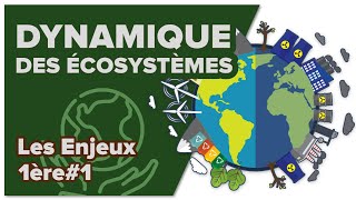 Dynamique des écosystèmes  - SVT - ENJEUX 1ère spé #1 - Mathrix