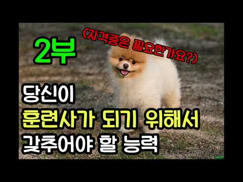 애견훈련사가 되고 싶으세요? (2부) 자격증이 필요한지 고민되시나요? [애견학교 바니버니] 반려견지도사 반려견훈련사