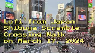 Shibuya Scramble Crossing Walk on March 17, 2024 | Chill Lofi Music Mix for Study &amp; Relaxation