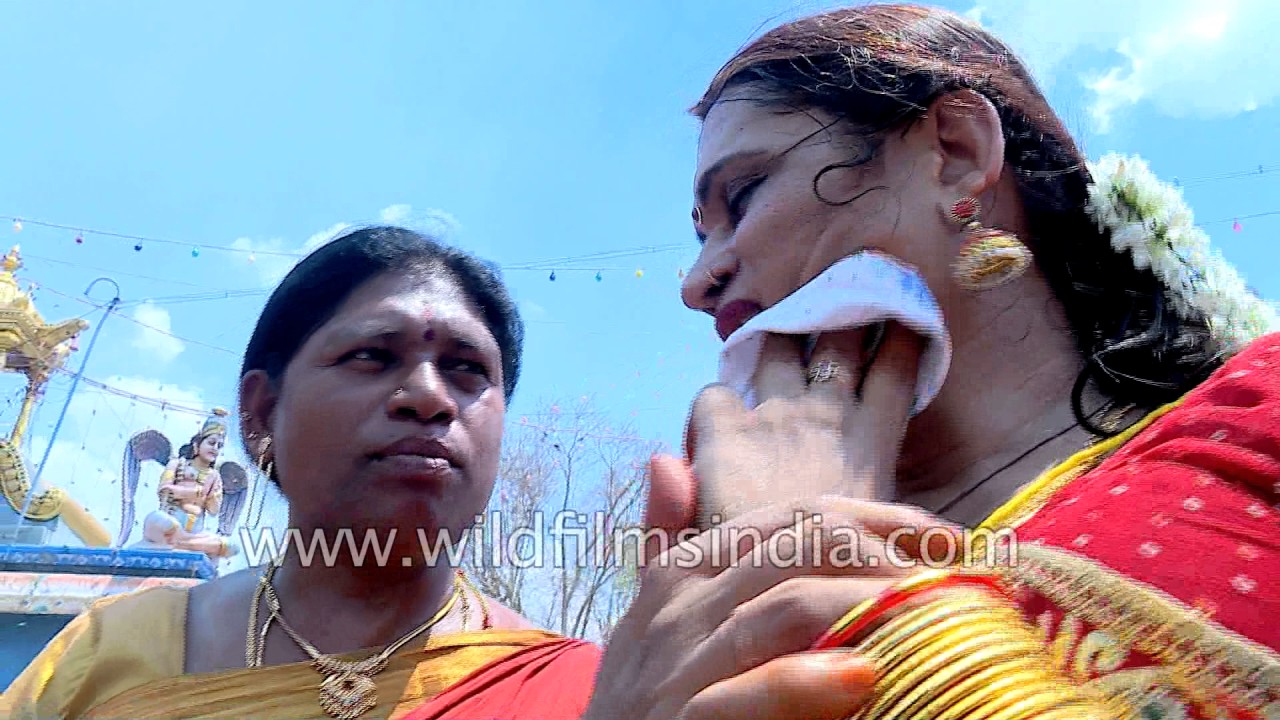 Transgenders and eunuchs throng Koothandavar Temple: Koovagam in India