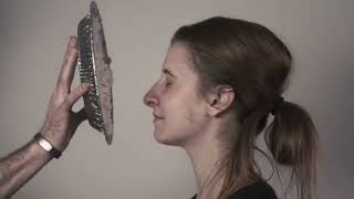 Pie in the Face
