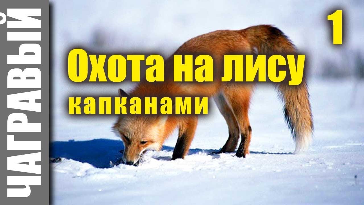 Бампер на лису