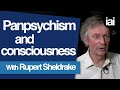 How Panpsychism Can Explain Conciousness | Rupert Sheldrake