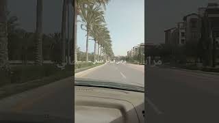 مراسى سيدى عبدالرحمن الساحل الشمالي