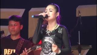 delta musik, bukan karna cinta