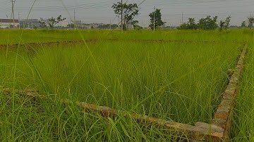 6 Katha Prime Residential Land for Sale in Bashundhara R/A | Block N | Property BD