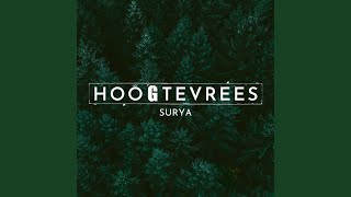 Hoogtevrees