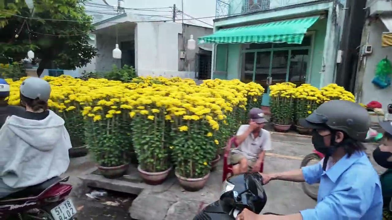 Một thoáng du Xuân - New year short trip 2026