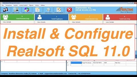 Install & configure Realsoft SQL 11.0