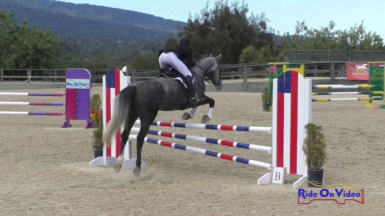 ponytail extensions 156S Ella Kurtz on Sportsfield Harley Davis Training Horse Show Jumping Woodside Oct. 2019
