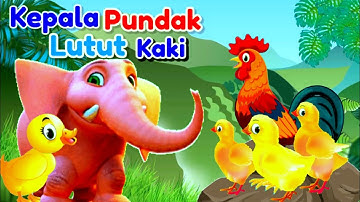 Lagu Anak 🇲🇨 Kepala Pundak Lutut Kaki !! Animasi Ayam Bebek Gajah Dan Kucing