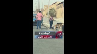 الأجهزة الأمنية تلقي القبض على سيدة تطعم كلاب الشوارع في القاهرة
