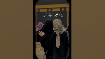 #quran #تلاوة_خاشعة #راحة_نفسية #لايك #عبدالرحمن_مسعد