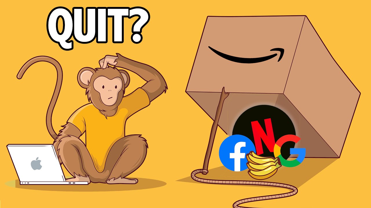 I Failed To Quit FAANG Jobs (Facebook/Meta | Amazon | Apple | Netflix | Google)
