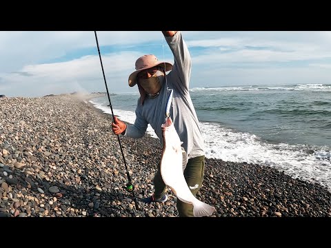 صيد ناجح للنعل باستخدام الط عم والصنارة