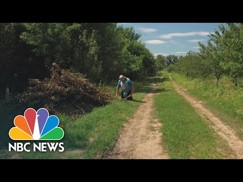 How Landmines In Ukrainian Farm Fields Contribute To The Food Supply Crisis