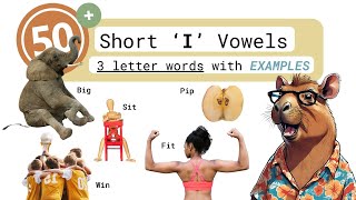 50+ Easy English Vocabulary Words! | Short 'I' Vowels | Flashcards with Sentences | Learn | IPA ESL