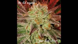 Sunset Sunrise - The Kid Wayman Ft. Mikomi