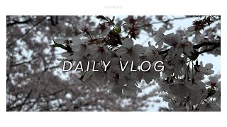 (sub) 일상 브이로그 | 첫 차 뽑기 | 고창 벚꽃축제 | 논산 미스터션사인 촬영지 | 페리도트 공방 | 카페 이리베 | 카페 테이크어브래드 | 카페 땡스덕 베르베르의 집