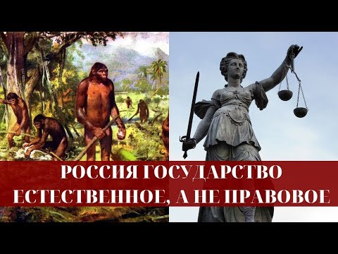 Россия государство естественное, а не правовое и демократическое