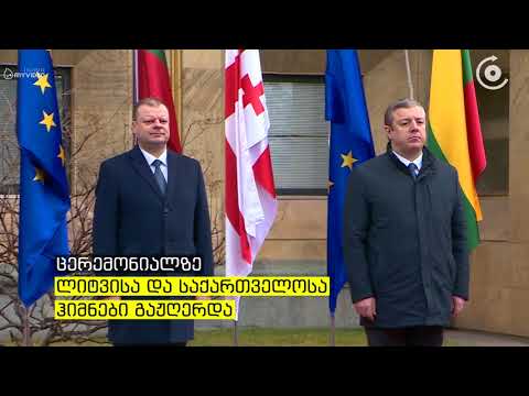 გიორგი კვირიკაშვილმა ლიტვის პრემიერს უმასპინძლა