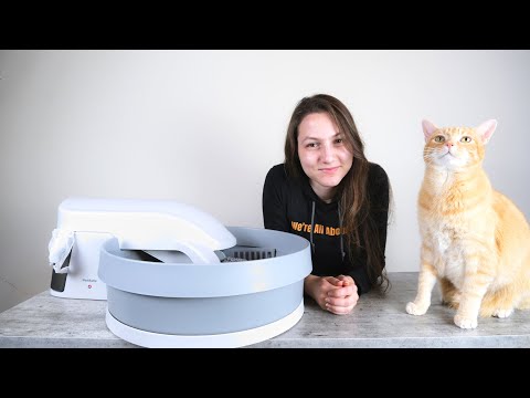 Video: Bedste Automatisk Kattekasse Box: Cat Box Spinner Review og mere