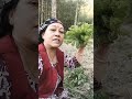 प्राकृतिक तरीके से उगाई सब्जी लिंगड़।#youtube #shorts #organic #vagitable
