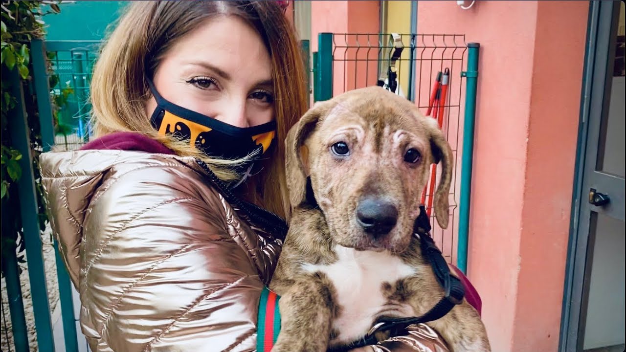 IL NOSTRO NUOVO CUCCIOLO - SNOOP DOGG