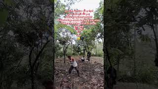 Download Lagu alhamdulillah salasai juo umat islam sumbahyang magrib🙂👍#kajianislam MP3