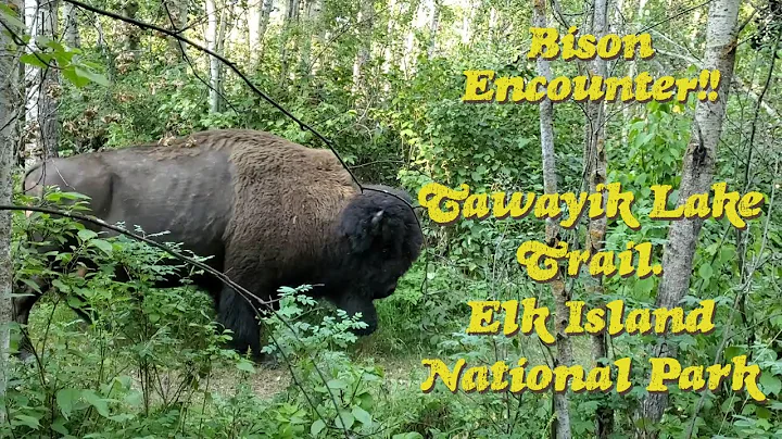 Gen X-ventures Episode 14  - Tawayik Lake Elk Island National Park