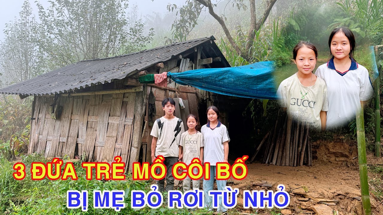 BỐ CHẾT MẸ BỎ ĐI LẤY CHỒNG BỎ LẠI 3 CON AE TỰ NUÔI NHAU NHÌN CÁC CON MÀ LÒNG THẮT RUỘT ĐAU