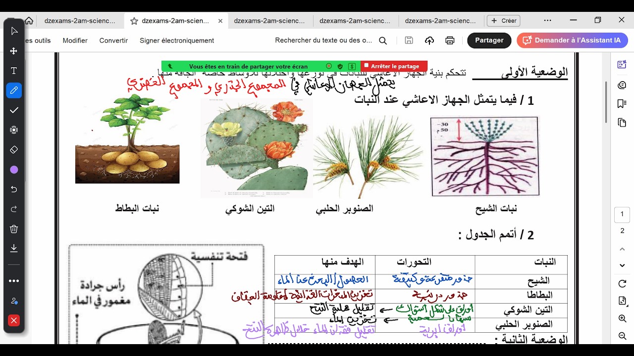 حل موضوع مقترح لاختبار الفصل الثاني سنة ثانية متوسط