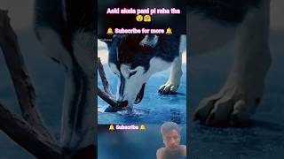 aski akela pani pi raha tha 😯😱😯😱#viral #facts #shorts #dog