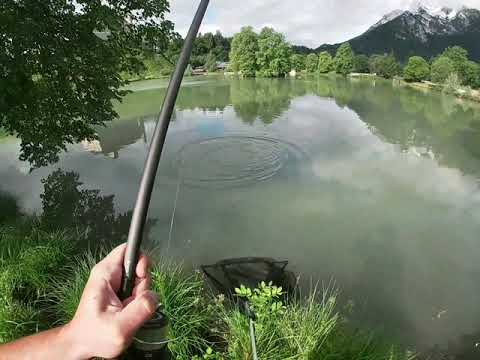 daiwa black widow rod and reel combo