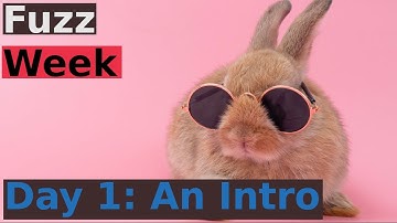 Fuzz Week Day 1: An Intro