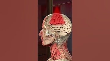Red Light Therapy for Brain Health & Cognitive Function