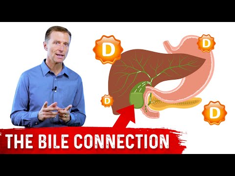 Vitamin D, Bile and Your Gallbladder