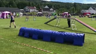 Jet grade 1 agility competition 19.06.22 (2 years)