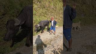 They Keep Charging Rs. 1500 For Painting Today And Tomorrow.