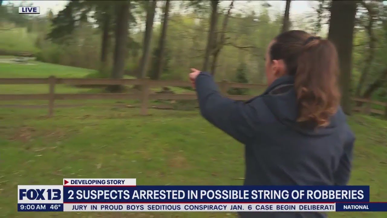 2 arrested, 1 at-large in string of robberies - YouTube