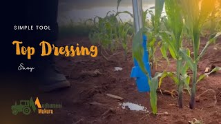 Simple Fertilizer Applicator with a Twist! #topdressing #maize #agriculture