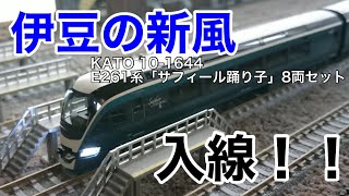 【待望】KATO E261系「サフィール踊り子」8両セット(特別企画品) 開封レビュー！！