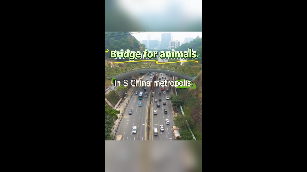 Bridge serves humans, animals in S China metropolis
