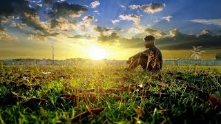 PicsArt Sunlight Effect Editing Tutorial || Sky Change || PicsArt Editing Tutorial screenshot 4