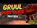 Maulgar & Gruul Boss Guide | TBC Classic (Deutsch)
