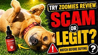 Try Zoomies Review 2026: Scam or Legit Warning!