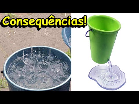 Vídeo: Por Que Baldes De água Limpa Sonham?