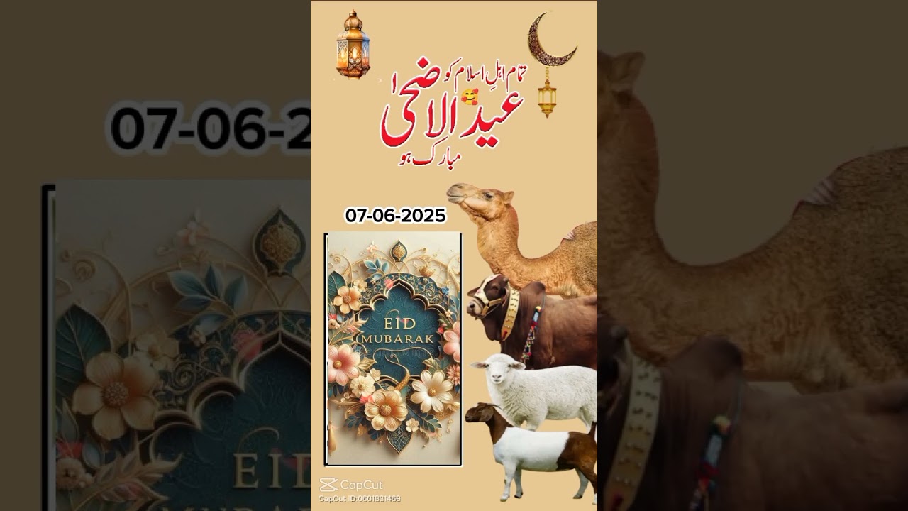 Eid ul Azha.  #eiduladha #eid #eidmubarak #eidspecial #islam #muslimworld