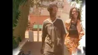 Terakaly Spons nakahy